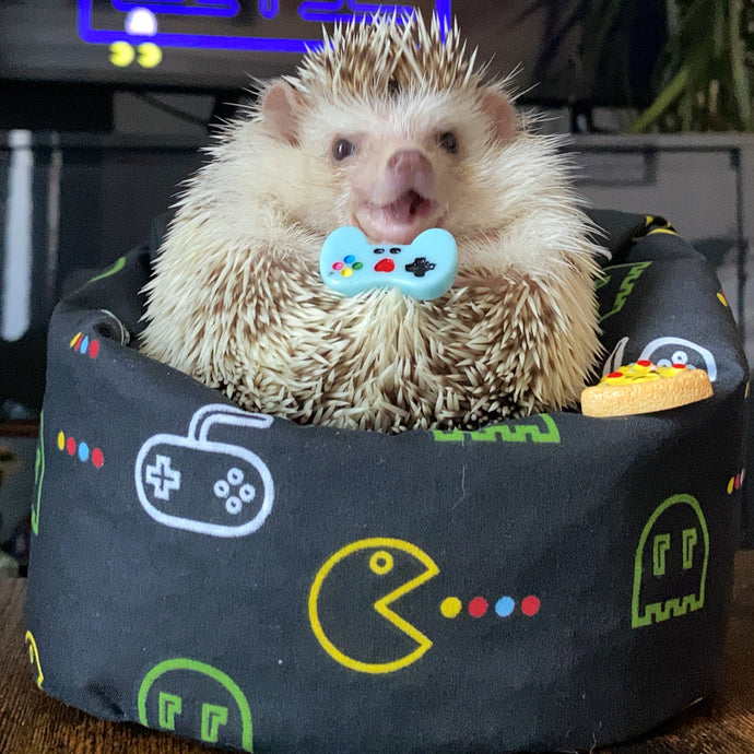 Gamer mini bean bag photo prop