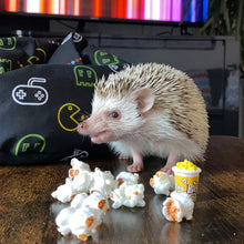 Load image into Gallery viewer, Gamer mini bean bag photo prop