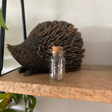 Load image into Gallery viewer, Hedgehog quill jar. Hedgehog memory keepsake. African Pygmy hedgehog quill jar.
