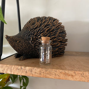 Hedgehog quill jar. Hedgehog memory keepsake. African Pygmy hedgehog quill jar.