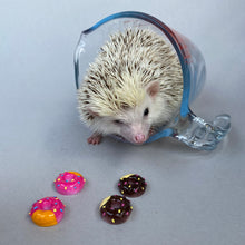 Load image into Gallery viewer, Mini resin donuts photo prop. Resin donut prop for photos.