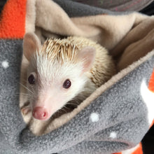 Load image into Gallery viewer, Foxy snuggle sack. Small animal sleeping bag. Fleece lined. Double fleece sleeping bag