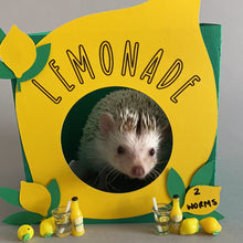 Load image into Gallery viewer, Lemonade photo prop. Lemons and lemonade bottle resin props for photos.
