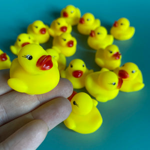 Mini rubber duck. Bath time buddy. Bath time photo prop.