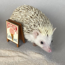 Load image into Gallery viewer, Mini ice creams and ice cream shop board sign for photos. Photo props