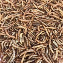 Load image into Gallery viewer, Dry meal worms. African pygmy hedgehog treats. Hedgehog treat.