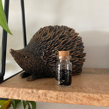 Load image into Gallery viewer, Hedgehog quill jar. Hedgehog memory keepsake. African Pygmy hedgehog quill jar.