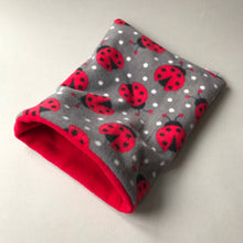 Load image into Gallery viewer, Ladybird bath sack set. Fleece post bath drying pouch for small animals.