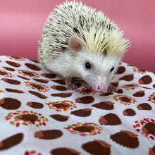 Load image into Gallery viewer, Autumn Hedgehogs padded bonding bag, carry bag for hedgehogs. Fleece lined.