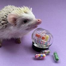 Load image into Gallery viewer, Mini pill photo props. Medication photo props.