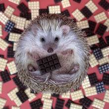 Load image into Gallery viewer, Mini chocolate slabs for photos. Chocolate resin photo props