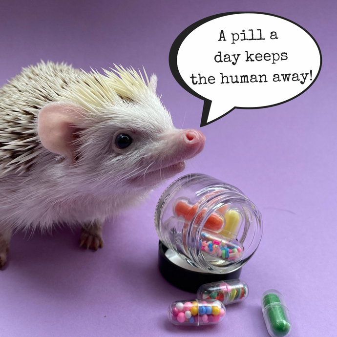Mini pill photo props. Medication photo props.