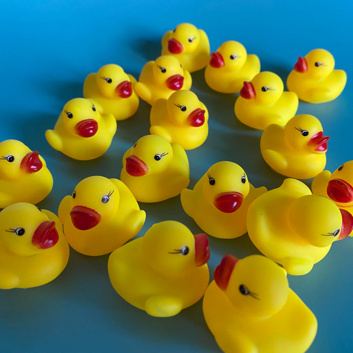 Mini rubber duck. Bath time buddy. Bath time photo prop.