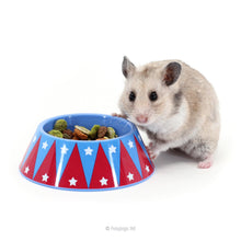 Load image into Gallery viewer, HayPigs!® Junior Food Tamer™ - Mini Food Bowl