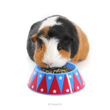 Load image into Gallery viewer, HayPigs!® Junior Food Tamer™ - Mini Food Bowl