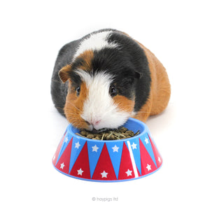 HayPigs!® Junior Food Tamer™ - Mini Food Bowl