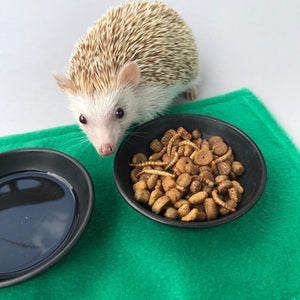 2kg (4.40 lb) African pygmy hedgehog food mix. Hedgehog biscuit mix. Dry food mix.